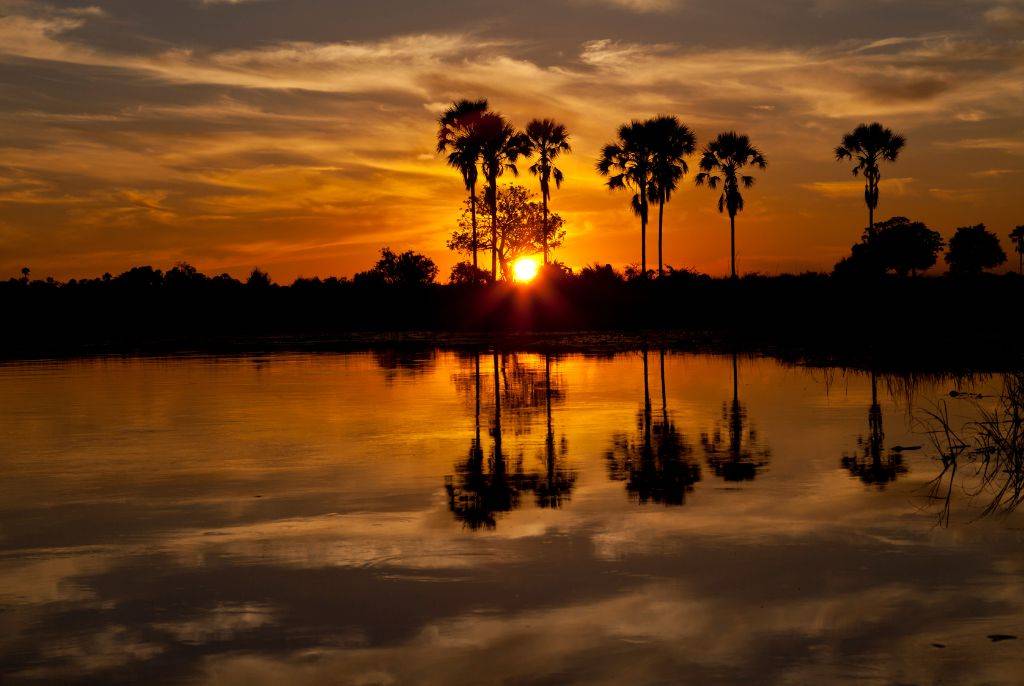 Voyage au Botswana : à la découverte d’un joyau sauvage